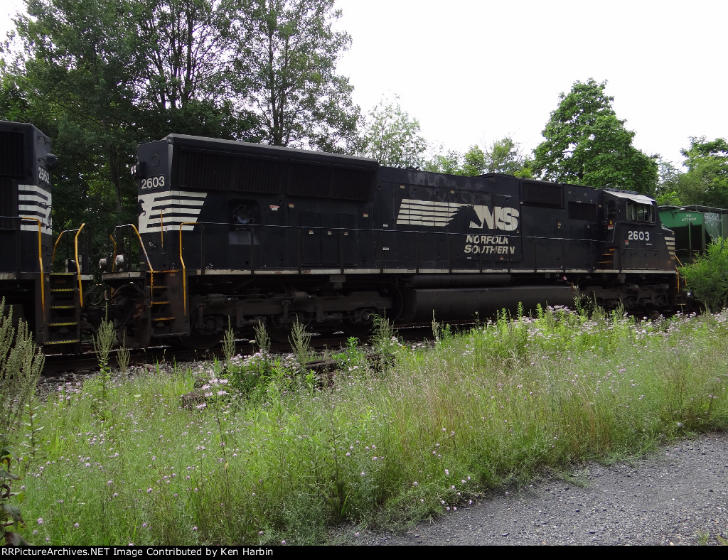 NS 2603